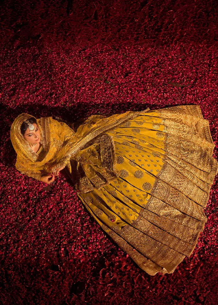 Erum Khan - Maharani - Image 8