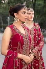 Embroidered Chiffon Suit - Image 3