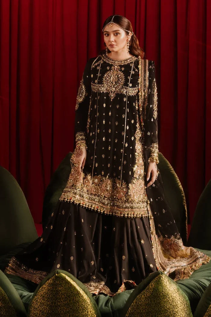 Afreen - MNR (AC-19) - Image 1
