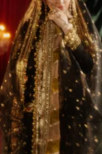 Afreen - MNR (AC-19) - Image 3