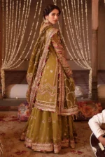 Iqbal Bano - MNR (AC-08) - Image 6