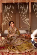 Iqbal Bano - MNR (AC-08) - Image 5