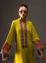 Lime Serenade - Zainab Chottani (AC-14) - Image 5